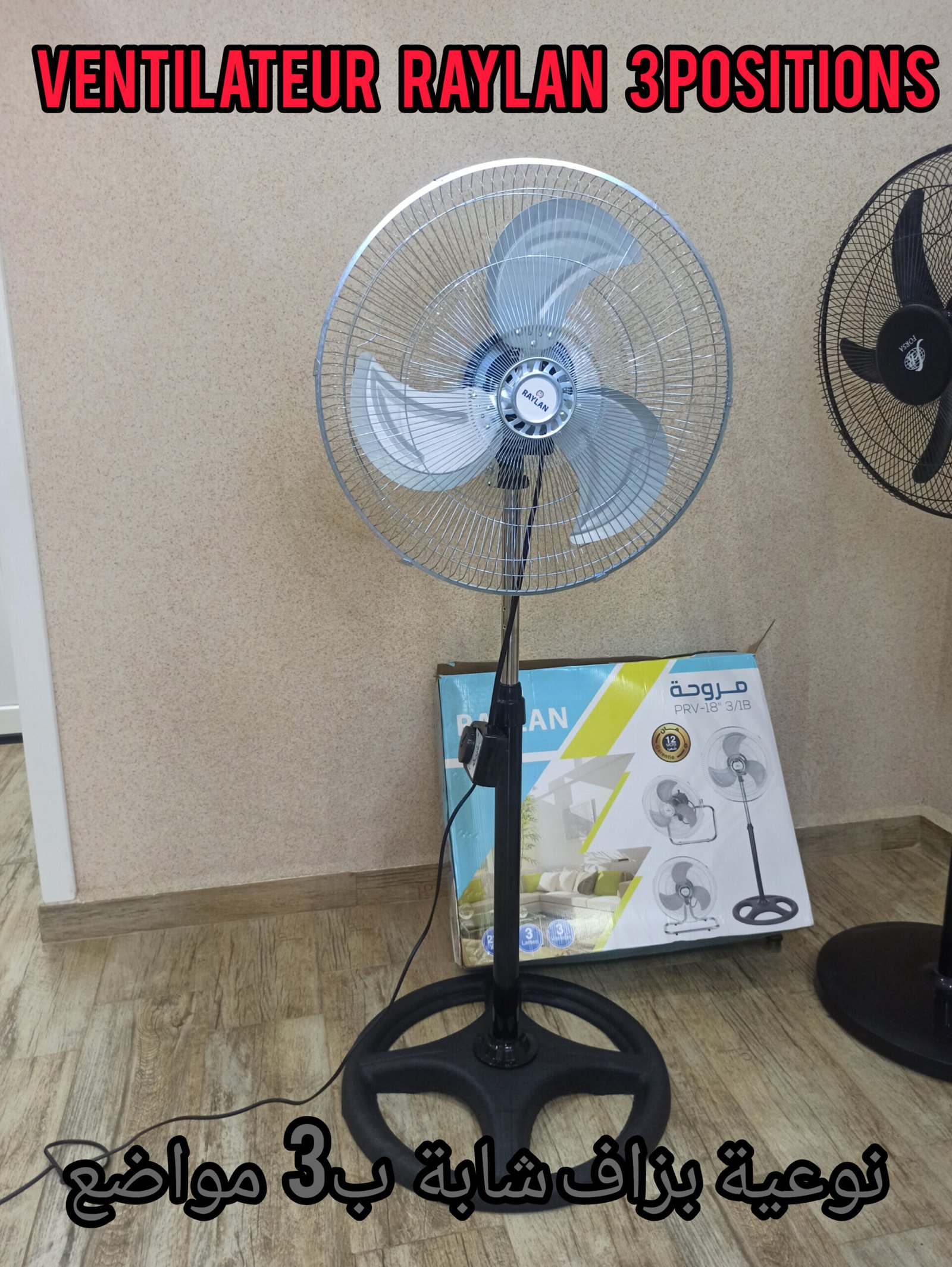 Ventilateur RAYLAN 3 positions haute qualité